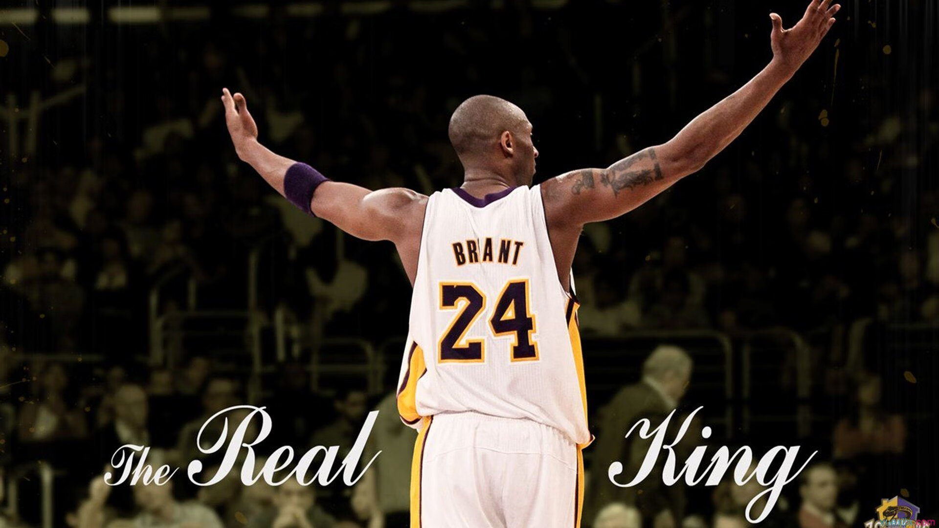 赫梅列夫斯基泳池中展现硬实力，梅赫里斯